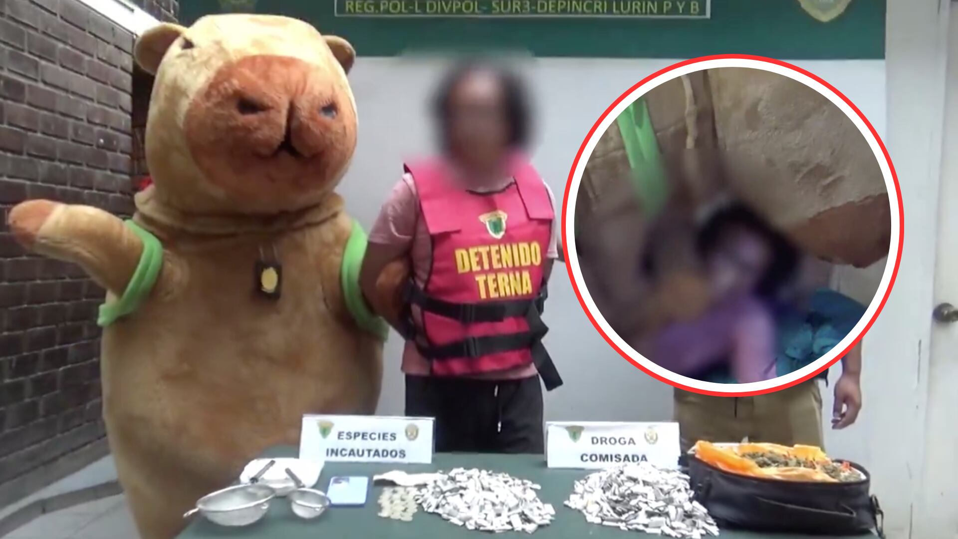 Policía se disfrazó de Chigüiro para para capturar a un peligroso criminal