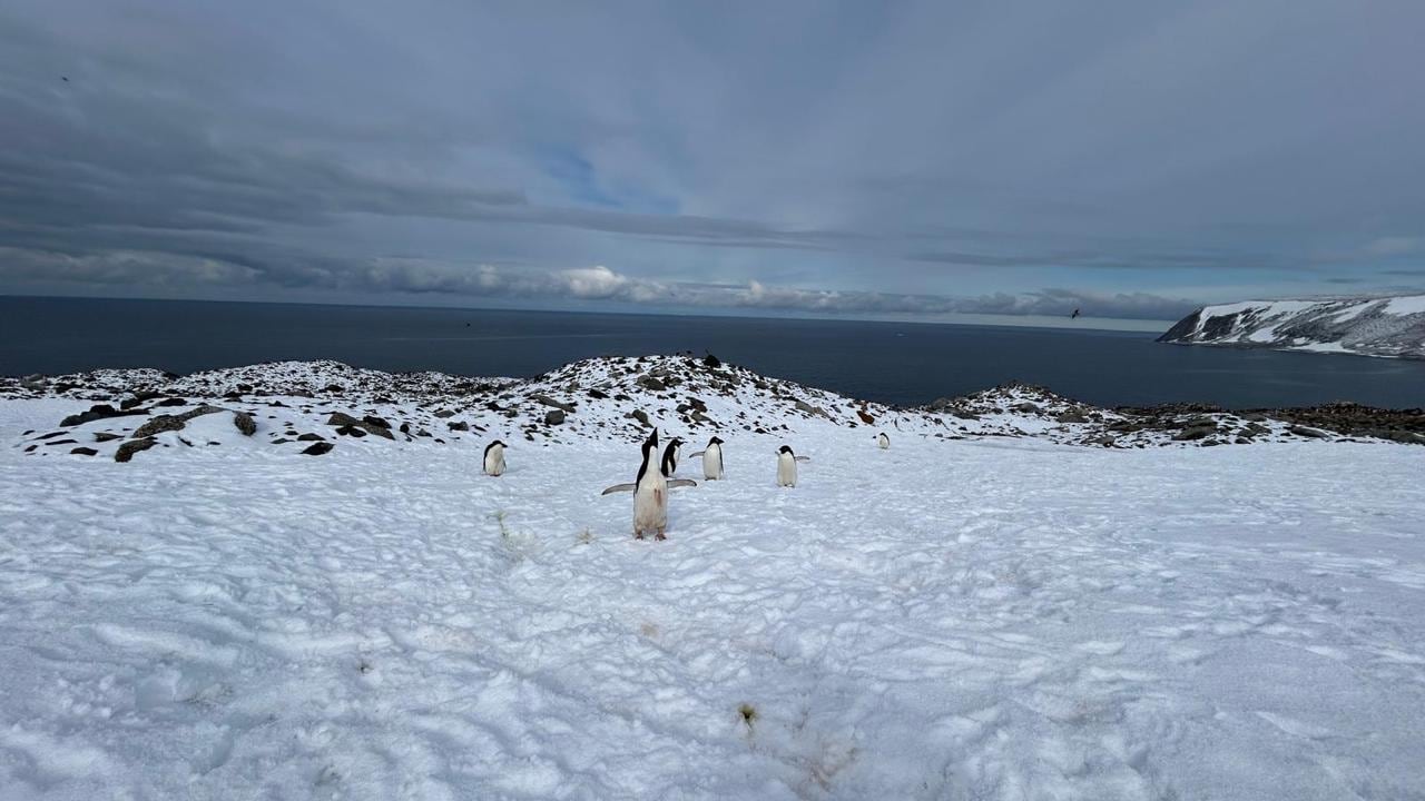 Expedición Antártica