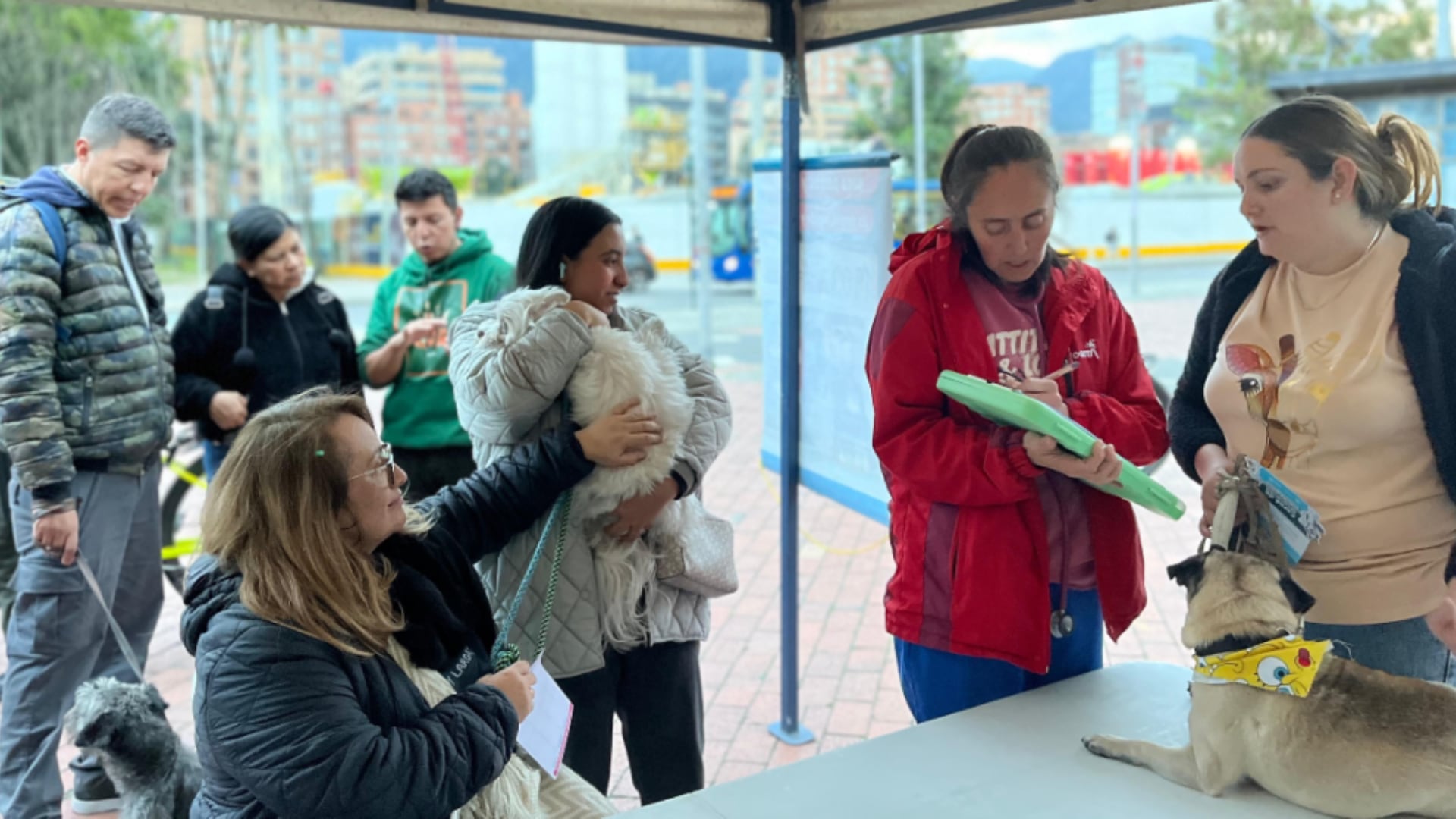 Ruta Navideña Animal Chapinero: Brigadas, Adopciones y Donaciones