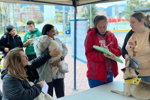 Ruta Navideña Animal Chapinero: Brigadas, Adopciones y Donaciones