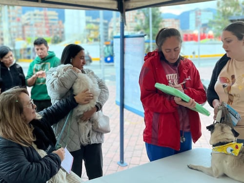 Ruta Navideña Animal Chapinero: Brigadas, Adopciones y Donaciones
