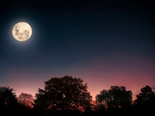 Luna llena y cometas: estos son los eventos astronómicos de febrero 2022