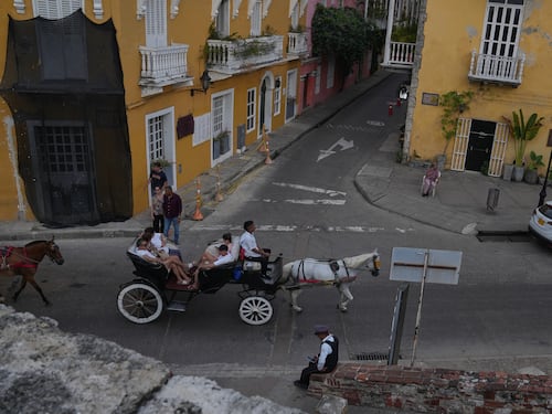 Adiós al sufrimiento animal: Cartagena dice no a los coches de caballos