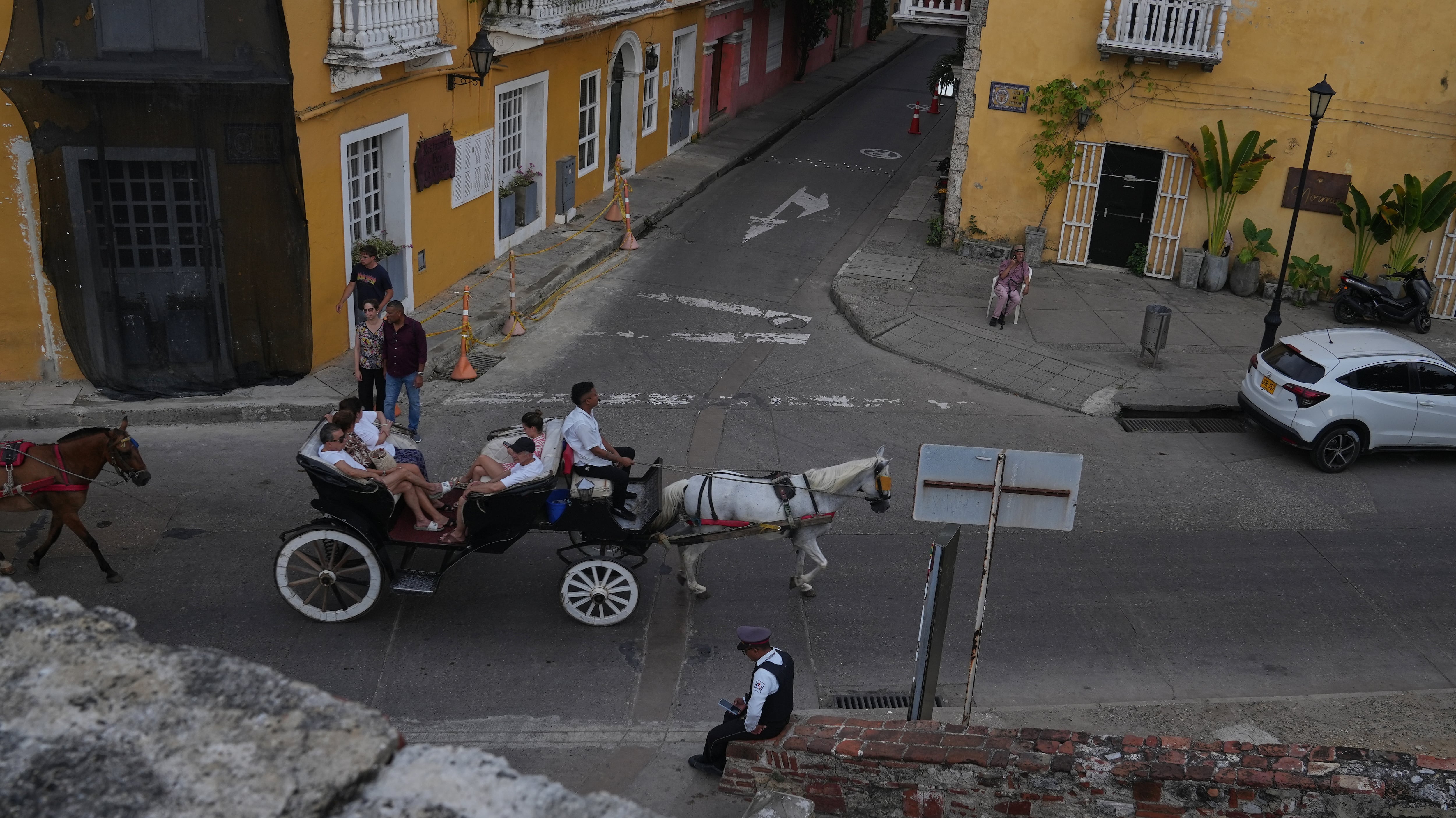 Caballos Cartagena Colombia