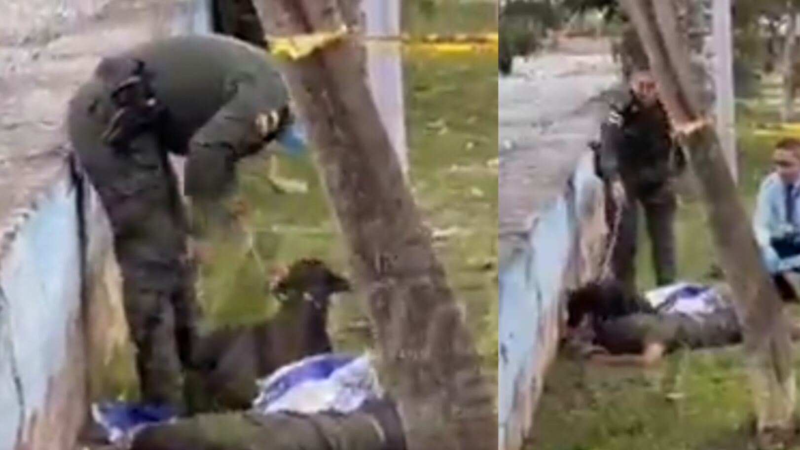 Perrito se rehusaba a abandonar a su dueño que murió