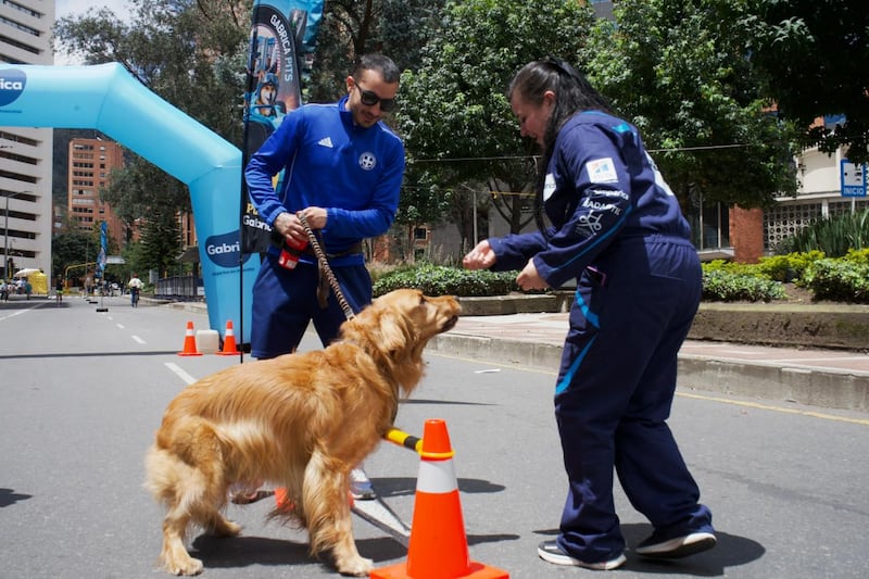 Pit Stop de mascotas
