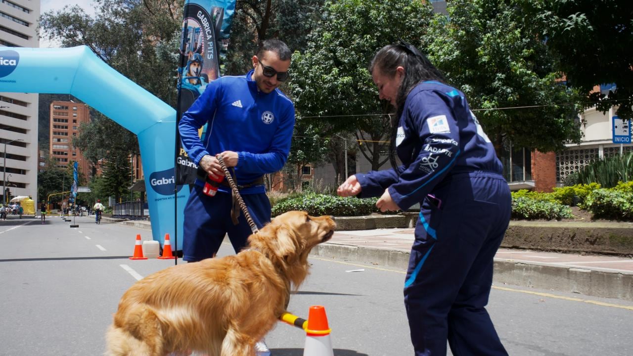 Pit Stop de mascotas