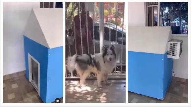 Imagen del perro con aire acondicionado en su casa para mascotas.