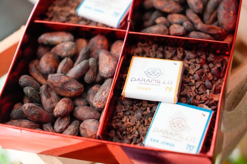 Cacao de exportación en Colombia