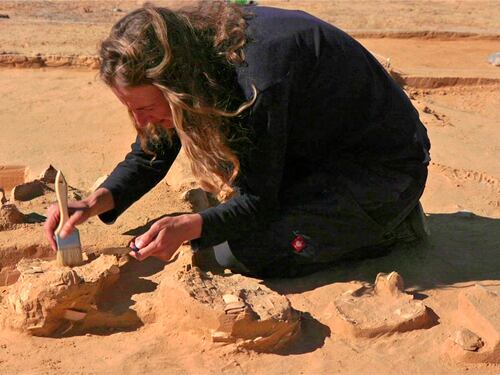 Arqueólogos descubren una "Mano Robótica" de más de 600 Años de antigüedad