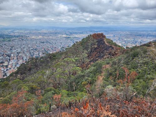 El plan del Distrito y la CAR para restaurar los Cerros Orientales y Entrenubes en bogotá, tras incendios forestales