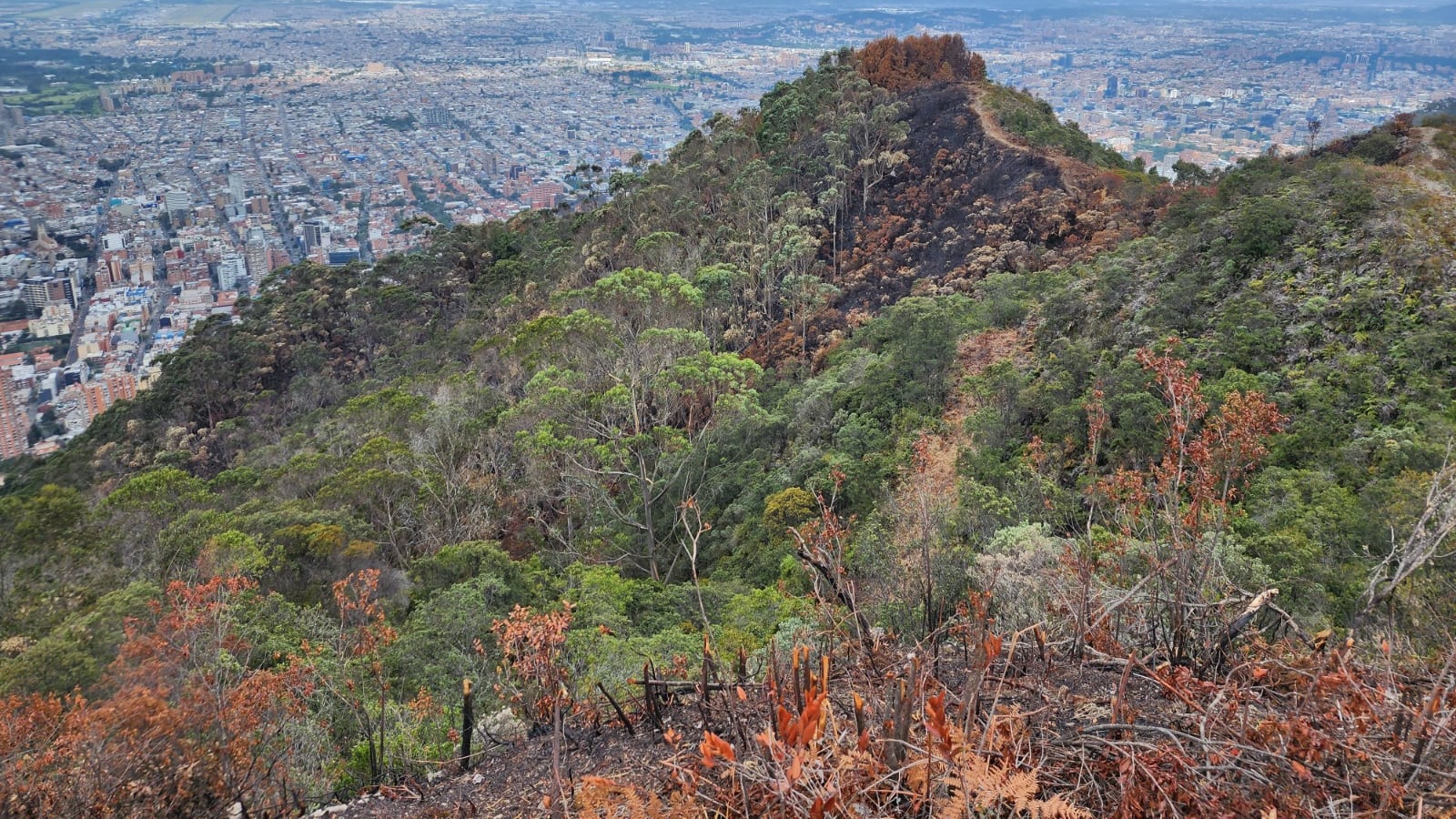 Distrito y CAR avanzan en la planificación para restaurar los Cerros
Orientales y Entrenubes