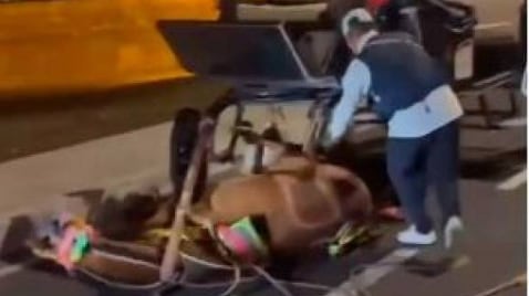 Caballo de coche se desplomó en Cartagena.