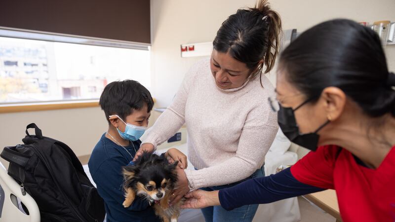 ¿Cómo ayudan los perros de intervención a los pacientes vulnerables?