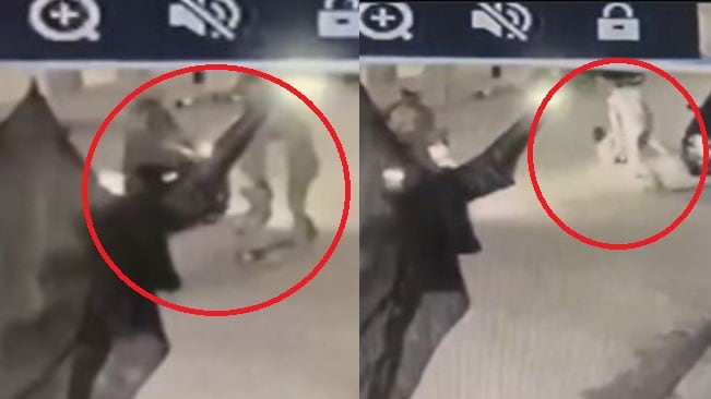 Foto video revela brutal ataque a joven: sicario le habló antes de apuñalarla y desata indignación.