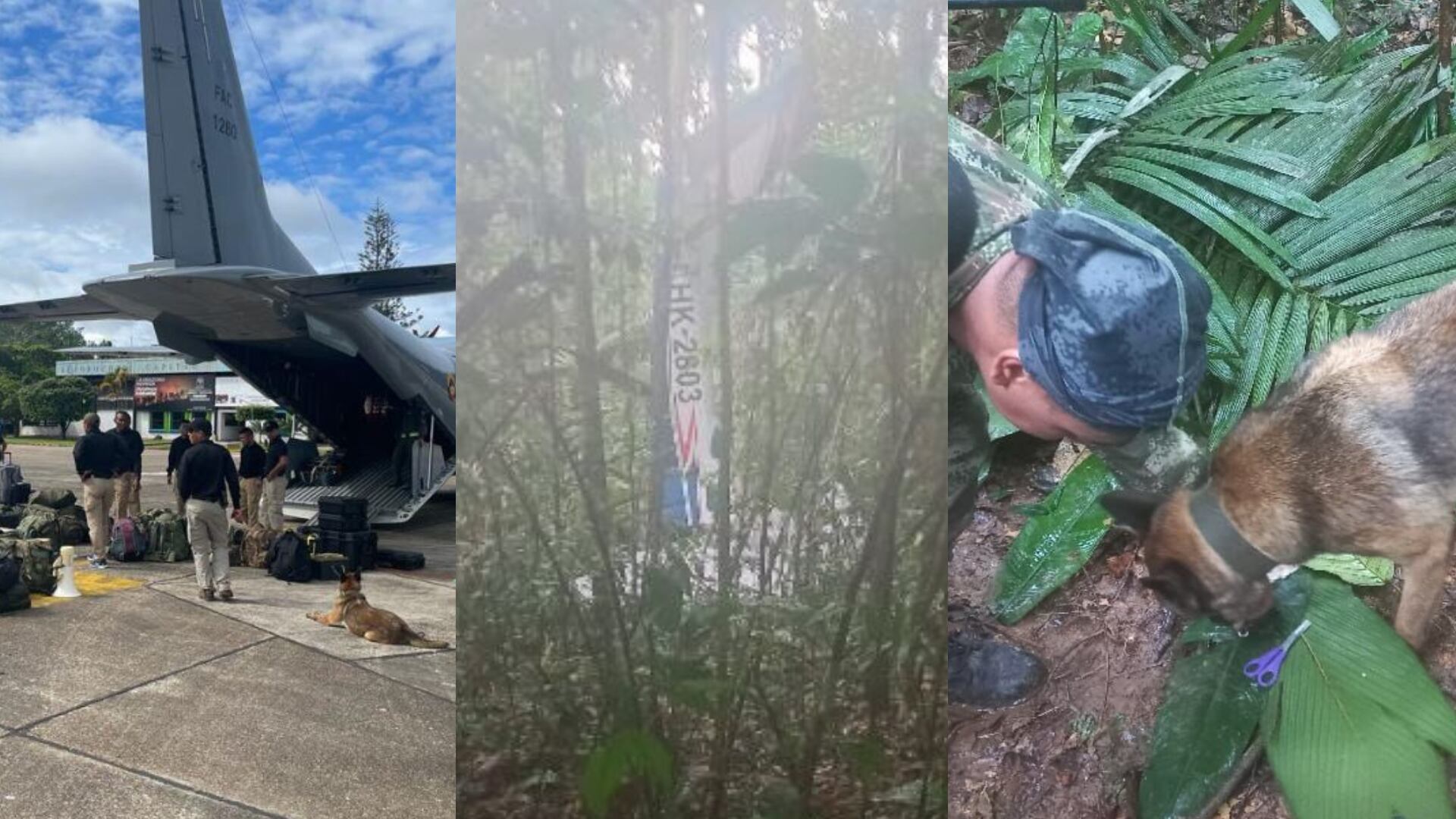 Habla abuela de niños que están siendo buscados en Guaviare - Caquetá