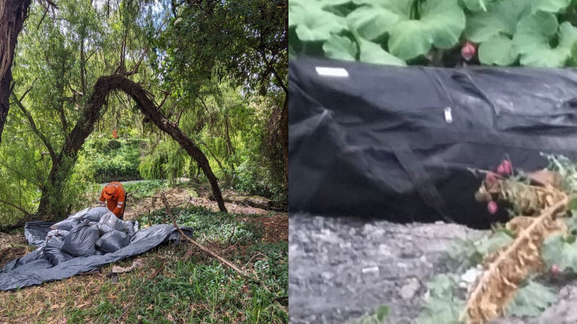 El cuerpo de una mujer fue encontrado en un humedal.