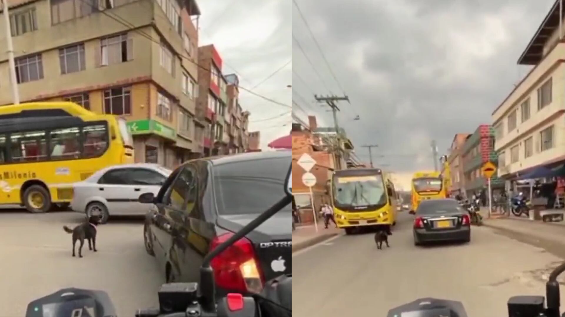 Captura: Twitter - @plataformaalto