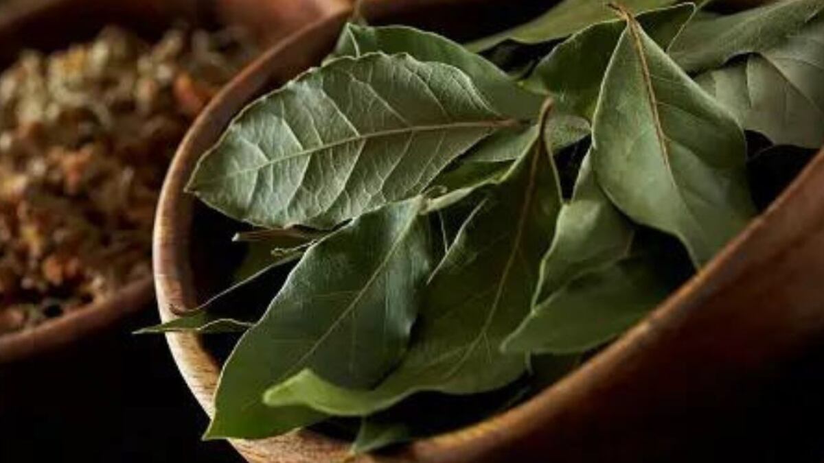 Feng Shui: el ritual de Navidad con laurel y agua que todos debemos hacer el 24 de diciembre