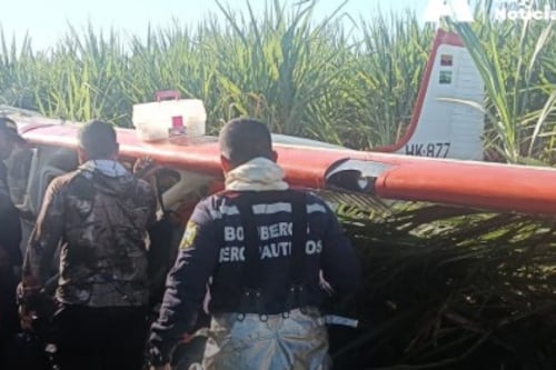 Aeronave debió aterrizar de emergencia en medio de una hacienda: maniobra del piloto evitó una tragedia