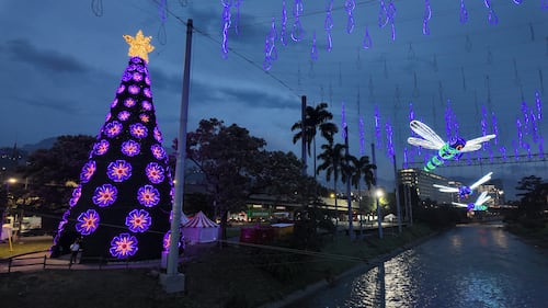 Alumbrados Navidad 2025