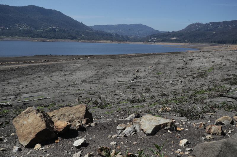 Detalle del bajo nivel de agua en el Embalse de San Rafael, en el municipio de La Calera, Cundinamarca, durante el ‘Fenómeno del Niño’ en abril de 2024