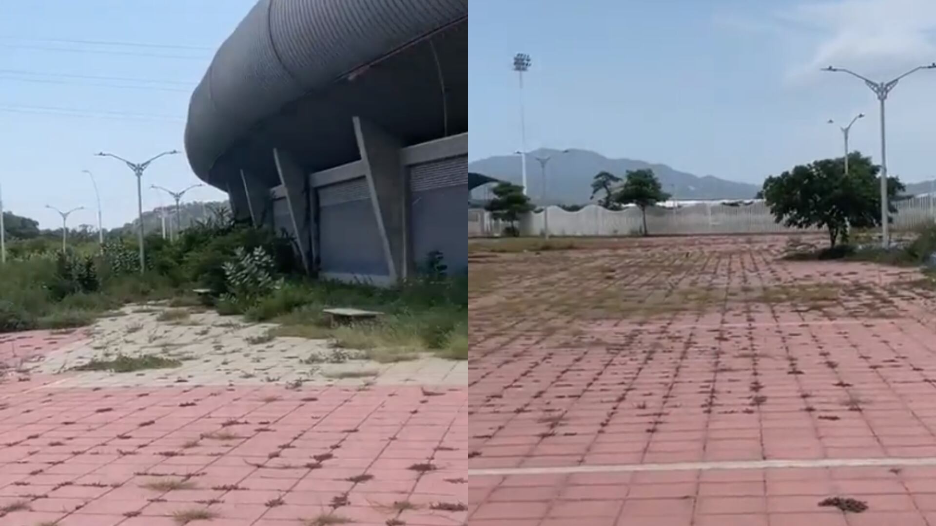 Importante estadio del fútbol colombiano está siendo tragado por la maleza