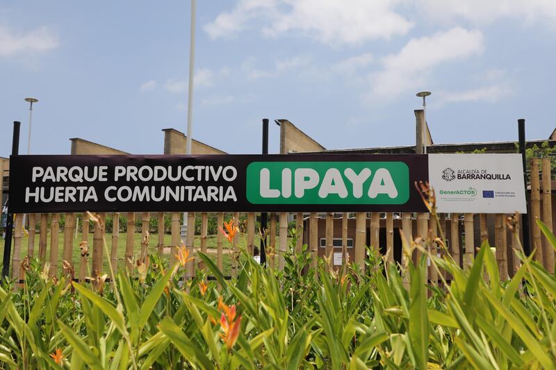 Foto de la  huerta comunitaria Lipaya.