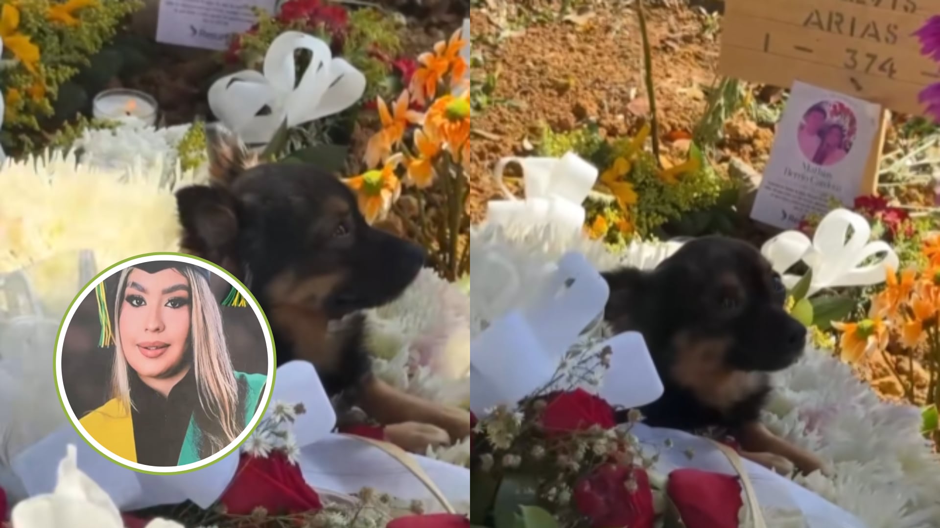 “Hasta el perrito siente tu ausencia”: El conmovedor gesto de una mascota de una de las víctimas de la tragedia en Antioquia