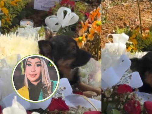 “Hasta el perrito siente tu ausencia”: El conmovedor gesto de una mascota de una de las víctimas de la tragedia en Antioquia