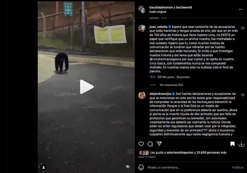 Claudia Bahamón lamentó la muerte de Pancho y Chita, y citó un comunicado en el que denuncian maltrato por parte de Circo Gasca.