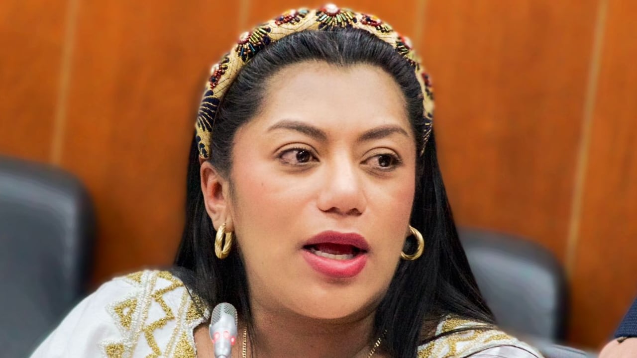 Martha Peralta debate reforma salud