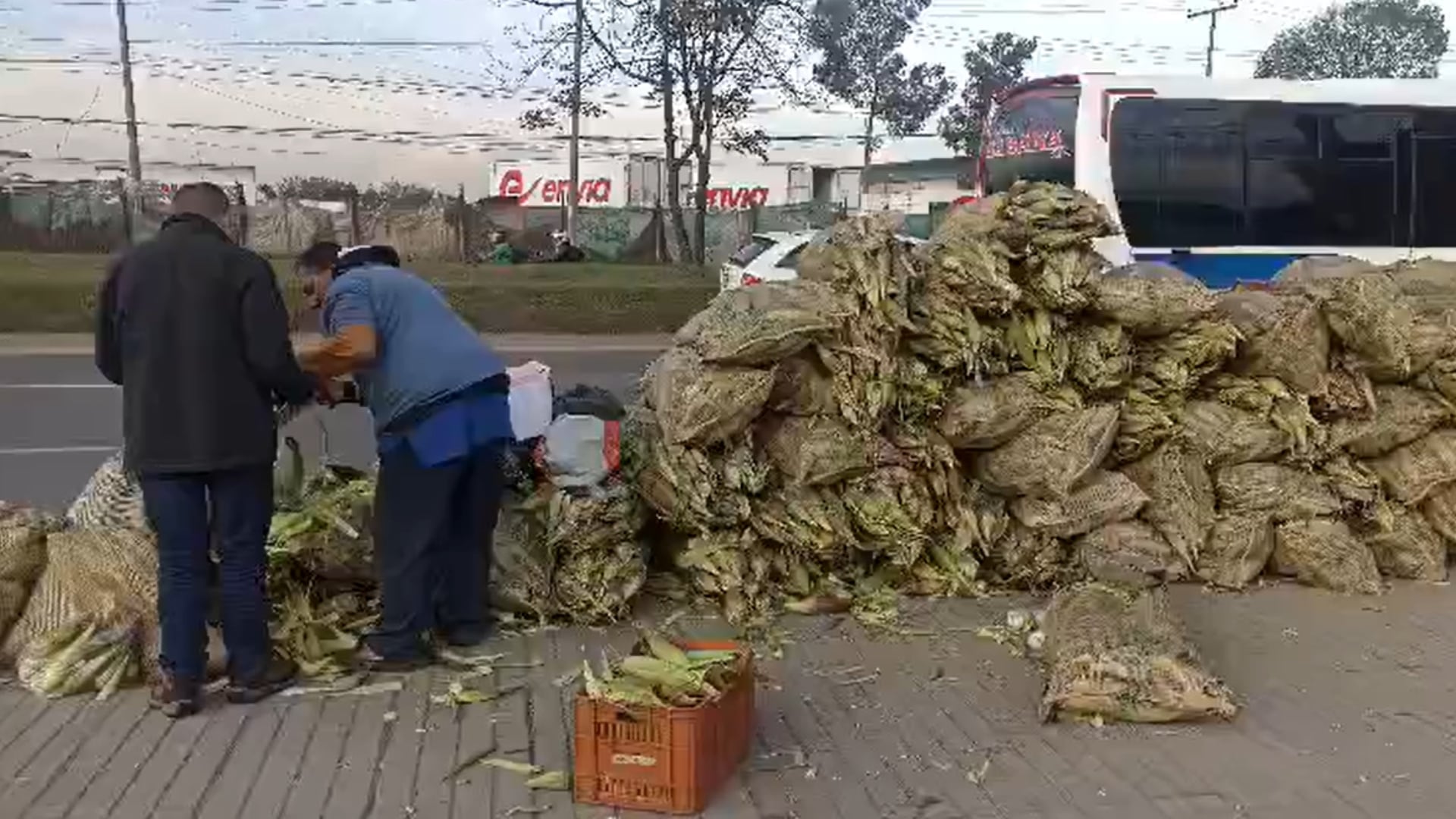 Campesino tuvo que vender su mazorca en plena vía de Bogotá.
