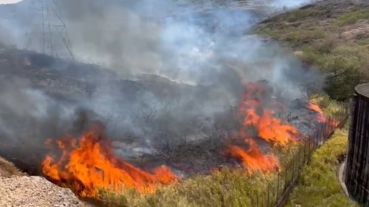 Cali: se reactivó incendio forestal Altos de Menga.