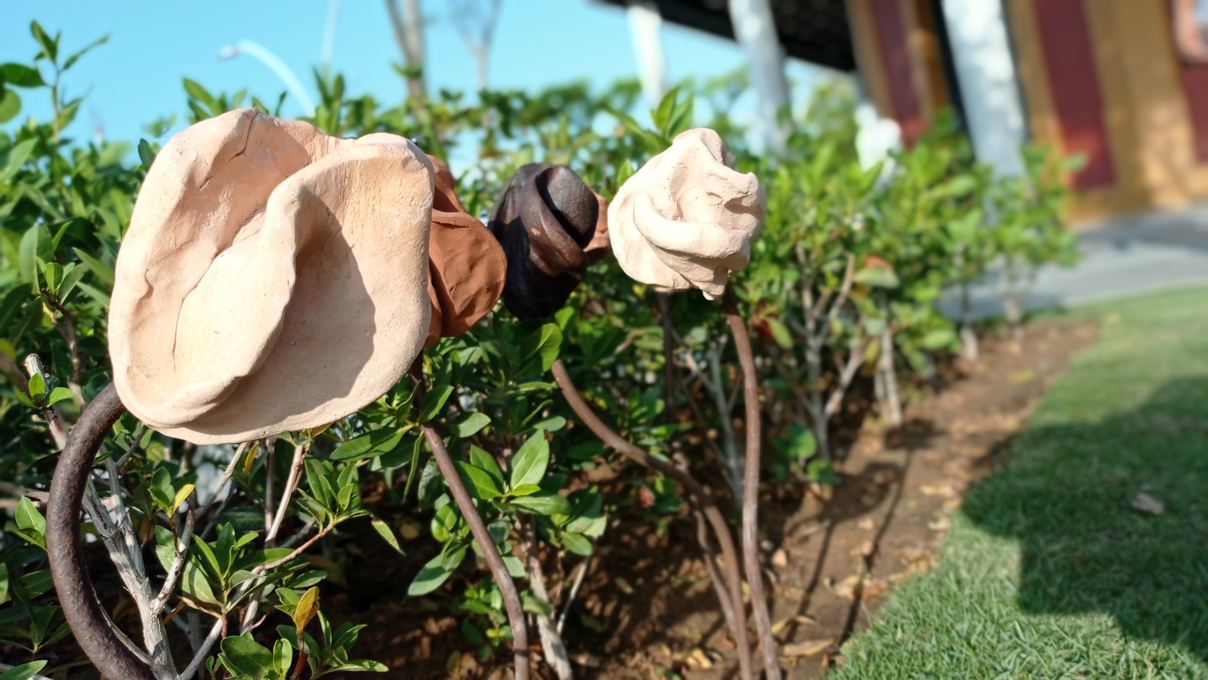 Exposición Jardín de la Fortaleza.