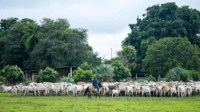 Foto The Nature Conservancy (TNC) fue galardonada con el Frontiers Planet Prize y una colombiana estuvo en el equipo de trabajo.