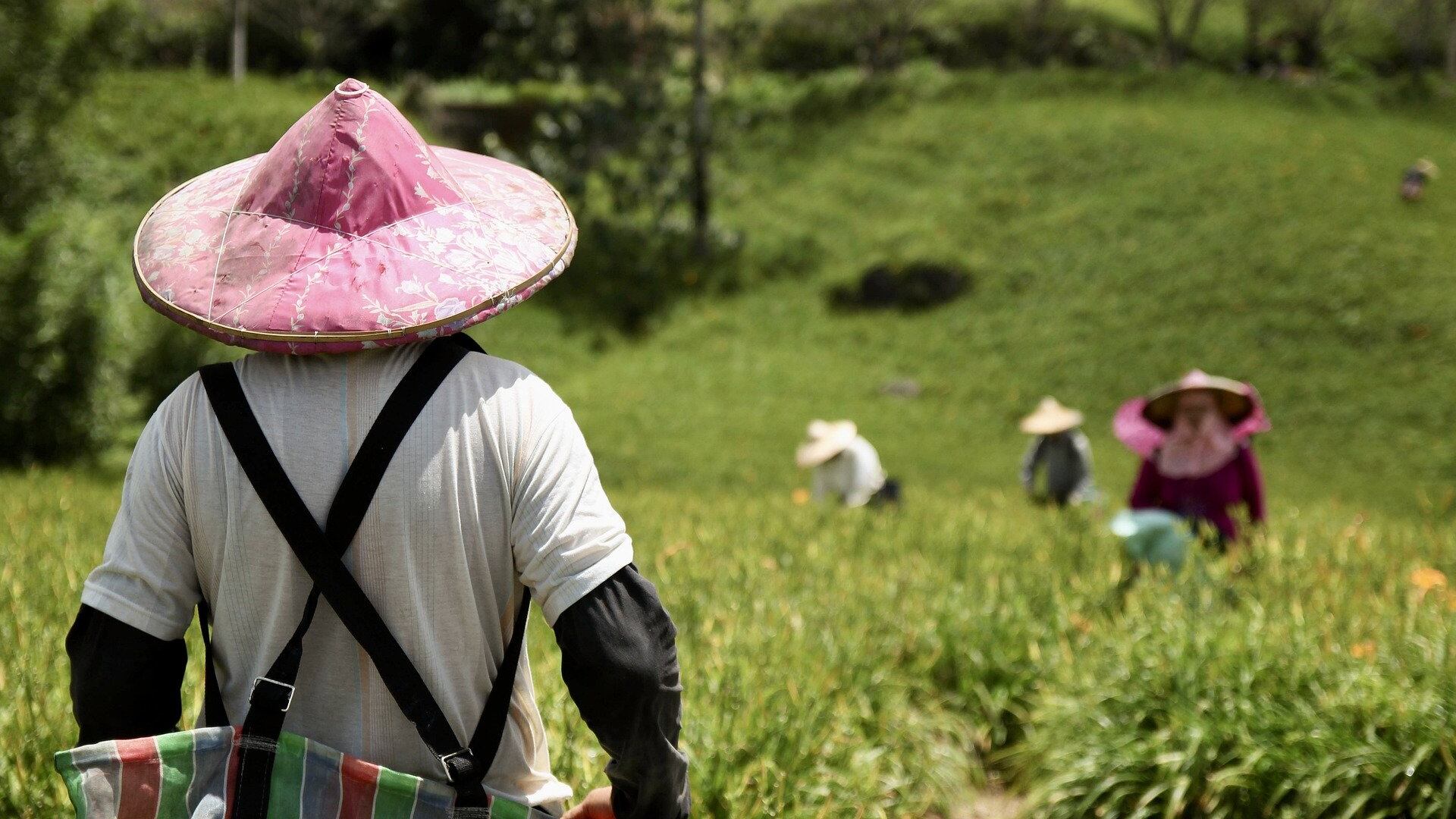 Consumo de agua en agricultura