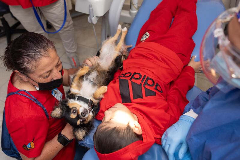 Se ha demostrado que la terapia con perros se asocia con una liberación de la hormona oxitocina, vinculada al bienestar emocional. Foto: cortesía.
