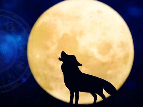 Llega la Luna de lobo 2025 y marcó a estos 5 signos hasta el 18 de enero