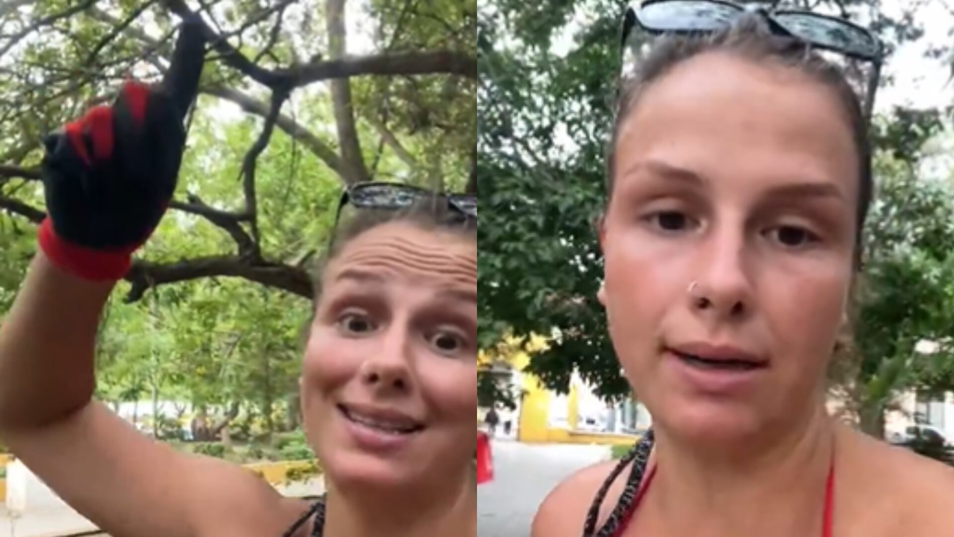 Influencers checos denuncian que hombres explotan a osos perezosos en Cartagena