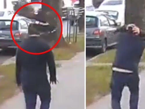 [VIDEO] Caminaba por la calle y un pájaro lo atacó por la cabeza 
