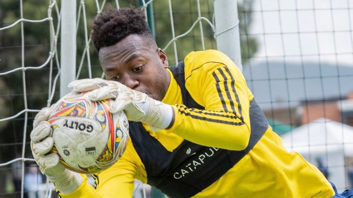 Iván Arboleda le refutó a Jorge Luis Pinto por decir que había exagerado en su agresión