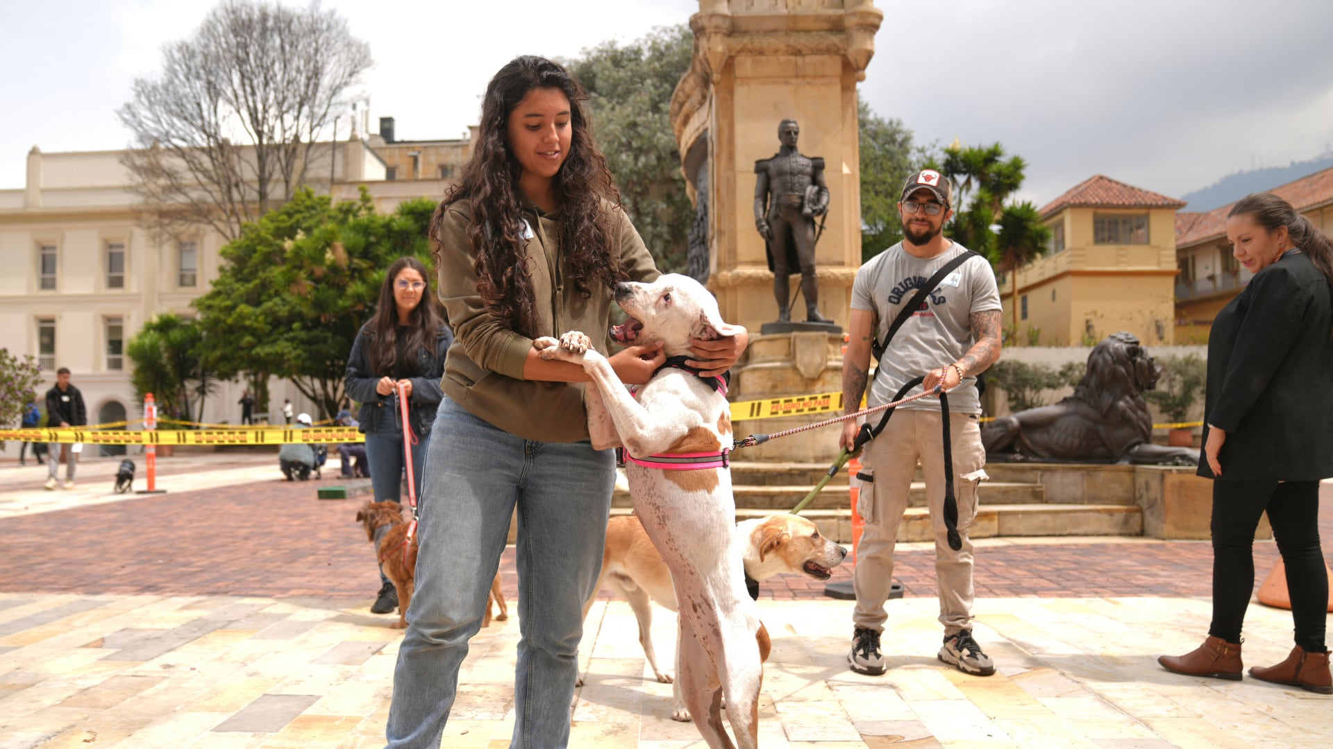 Qué ternura: en la Casa de Nariño desfilaron perros y gatos abandonados para ser adoptados