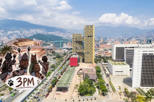 “Entonces hay que llevar el cuido”: Anuncian convocatoria de therians en centro comercial al sur de Medellín y genera ola de reacciones