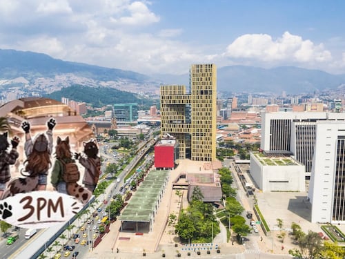 “Entonces hay que llevar el cuido”: Anuncian convocatoria de therians en centro comercial al sur de Medellín y genera ola de reacciones