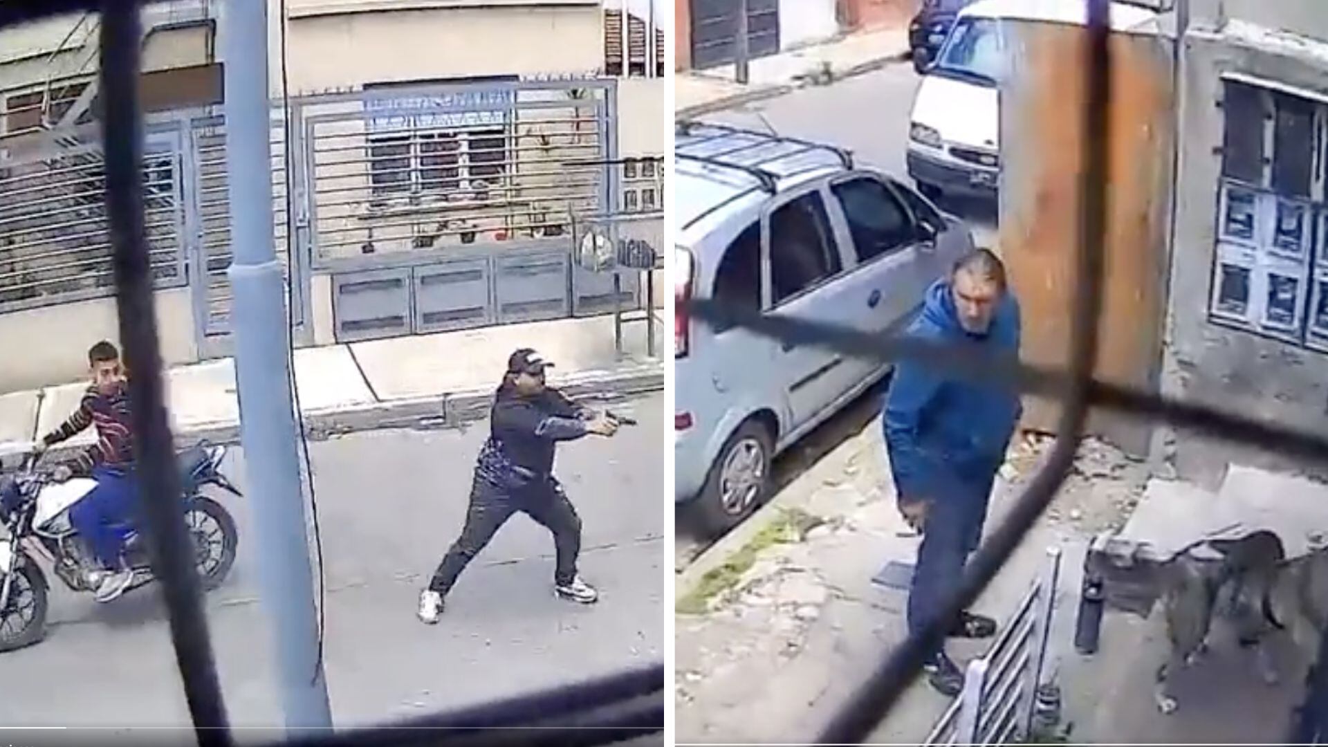 Dos perritas evitaron un robo a mano armada.