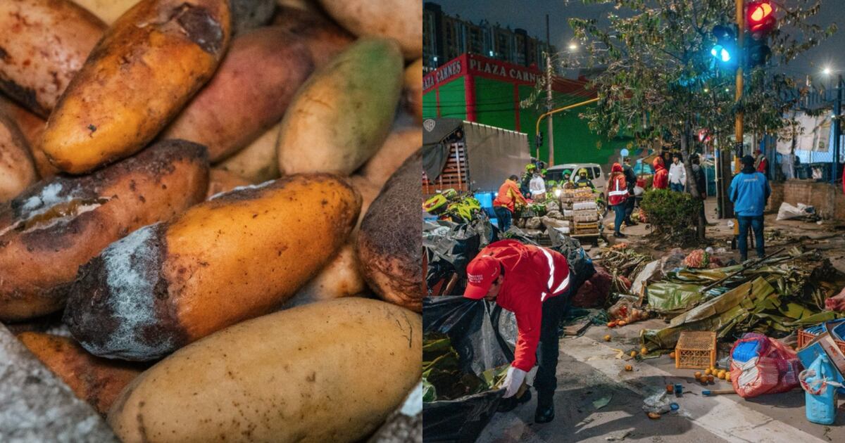 11 toneladas de comida en descomposición fueron decomisadas por las autoridades en Kennedy – Publimetro Colombia