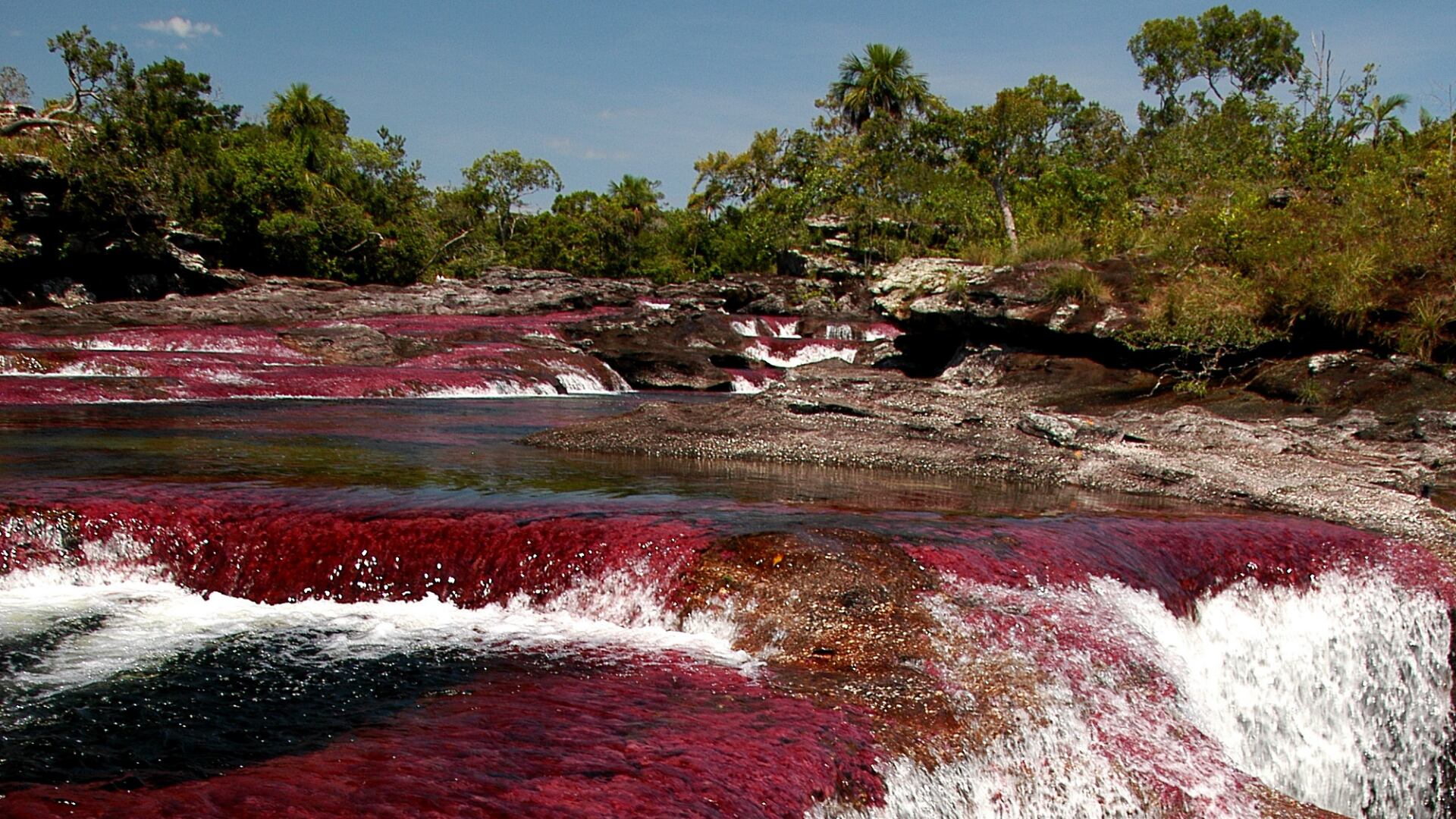 Vuelos desde el Olaya Herrera de Medellín