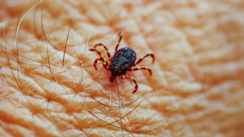 Más de 10 millones de colombianos están en riesgo de contraer una ‘enfermedad silenciosa’, MinSalud emitió alerta