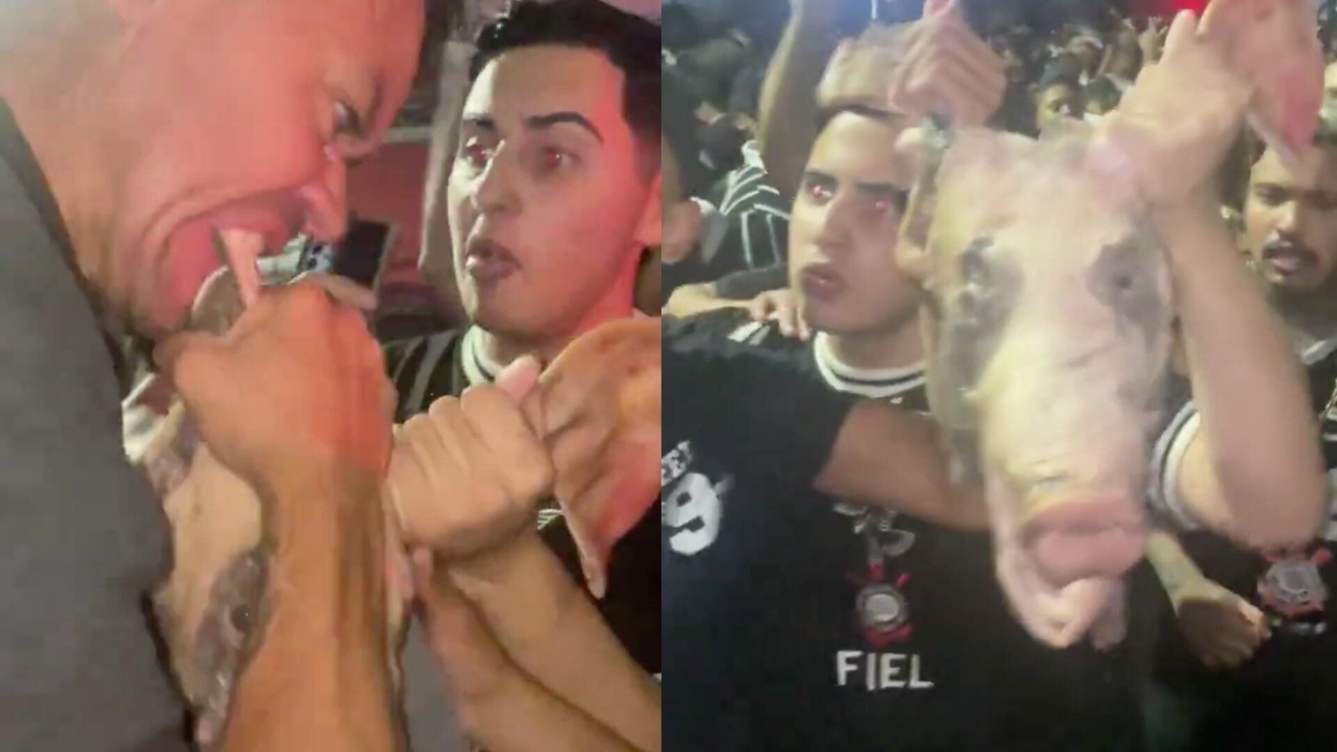 Hinchas de Corinthians - Fotos: Capturas de pantalla de redes sociales